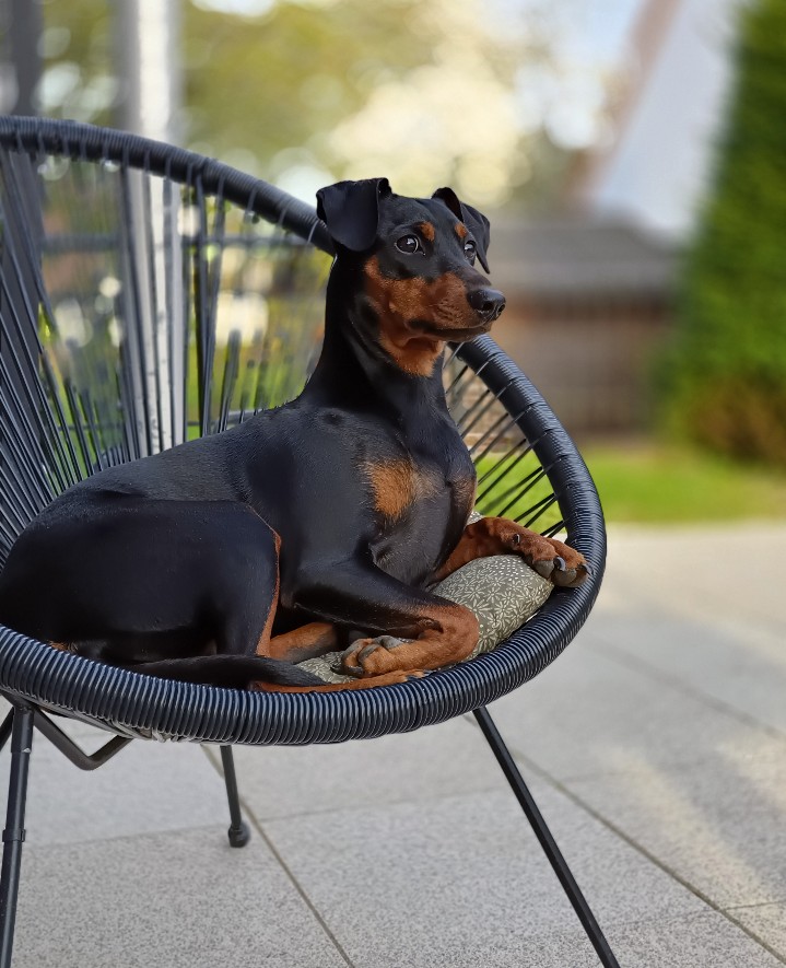 New Level Xena Xtra Emotion von Dark Angels